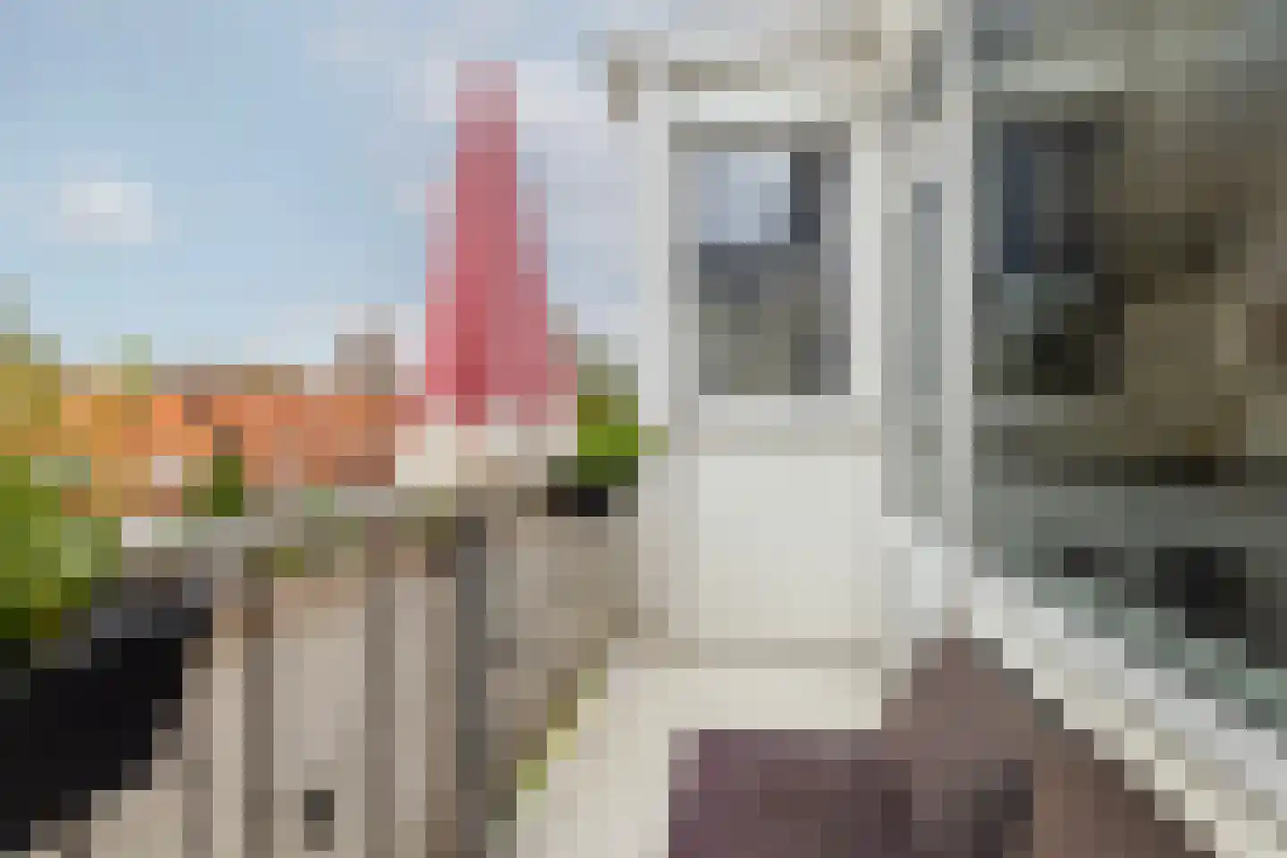 Groene Hilledijk 378 B Rotterdam thumbnail 31