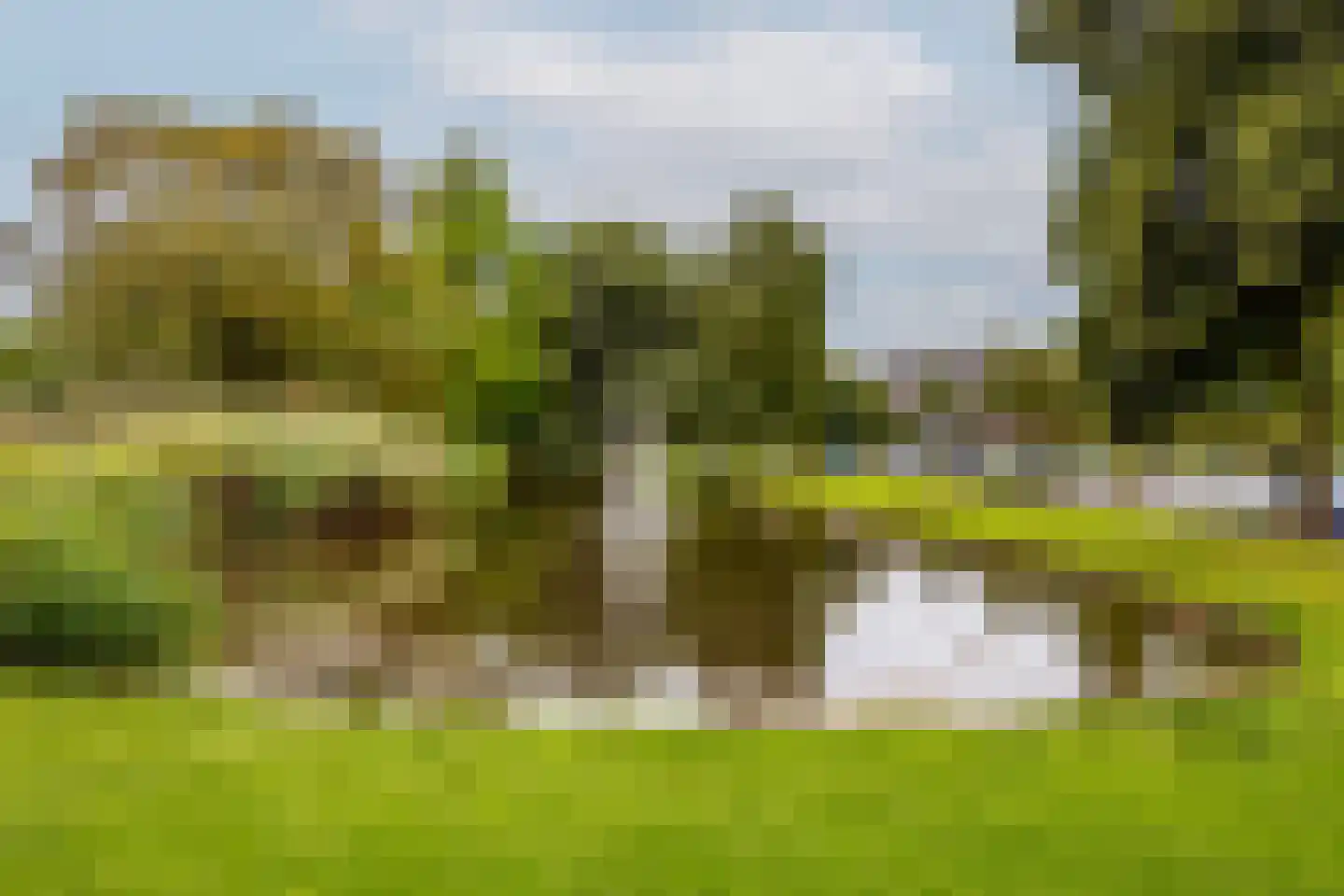 Groene Hilledijk 378 B Rotterdam thumbnail 37