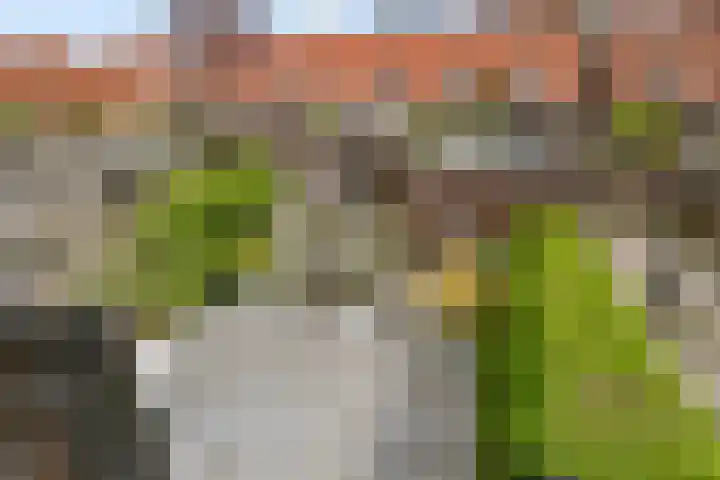 Groene Hilledijk 384 A Rotterdam thumbnail 25