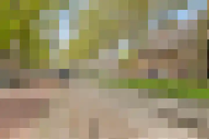 Groene Hilledijk 384 A Rotterdam thumbnail 28
