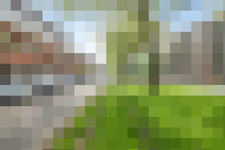 Groene Hilledijk 384 A Rotterdam thumbnail 29