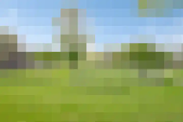 Groene Hilledijk 384 A Rotterdam thumbnail 32
