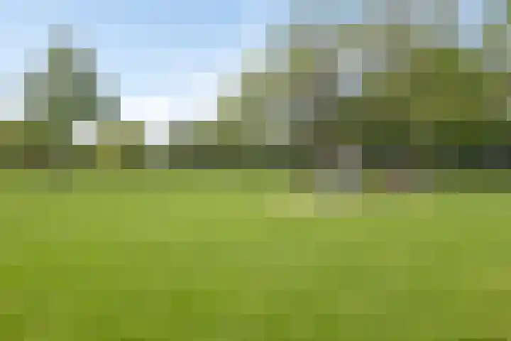 Groene Hilledijk 384 A Rotterdam thumbnail 33