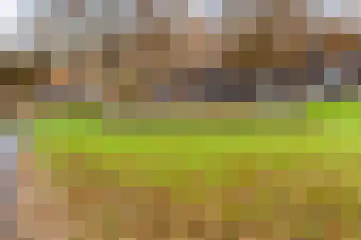 Groene Hilledijk 386 B Rotterdam thumbnail 28