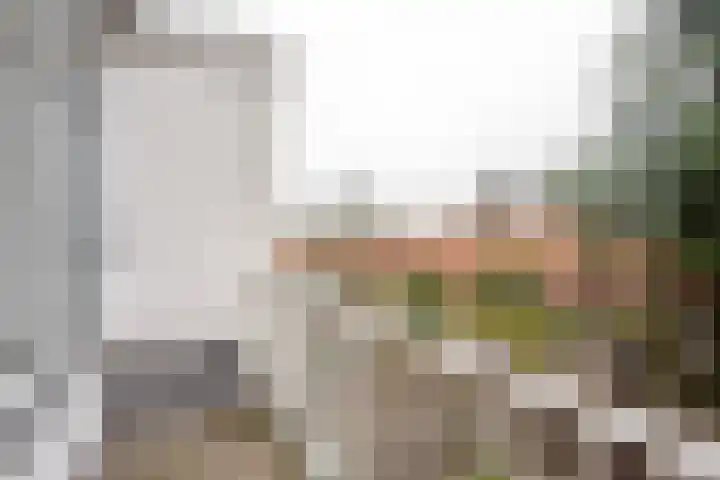 Groene Hilledijk 406 B Rotterdam thumbnail 17