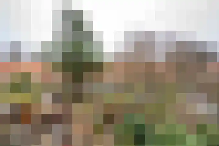 Groene Hilledijk 406 B Rotterdam thumbnail 19