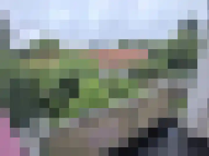 Groene Hilledijk 432 A Rotterdam thumbnail 12