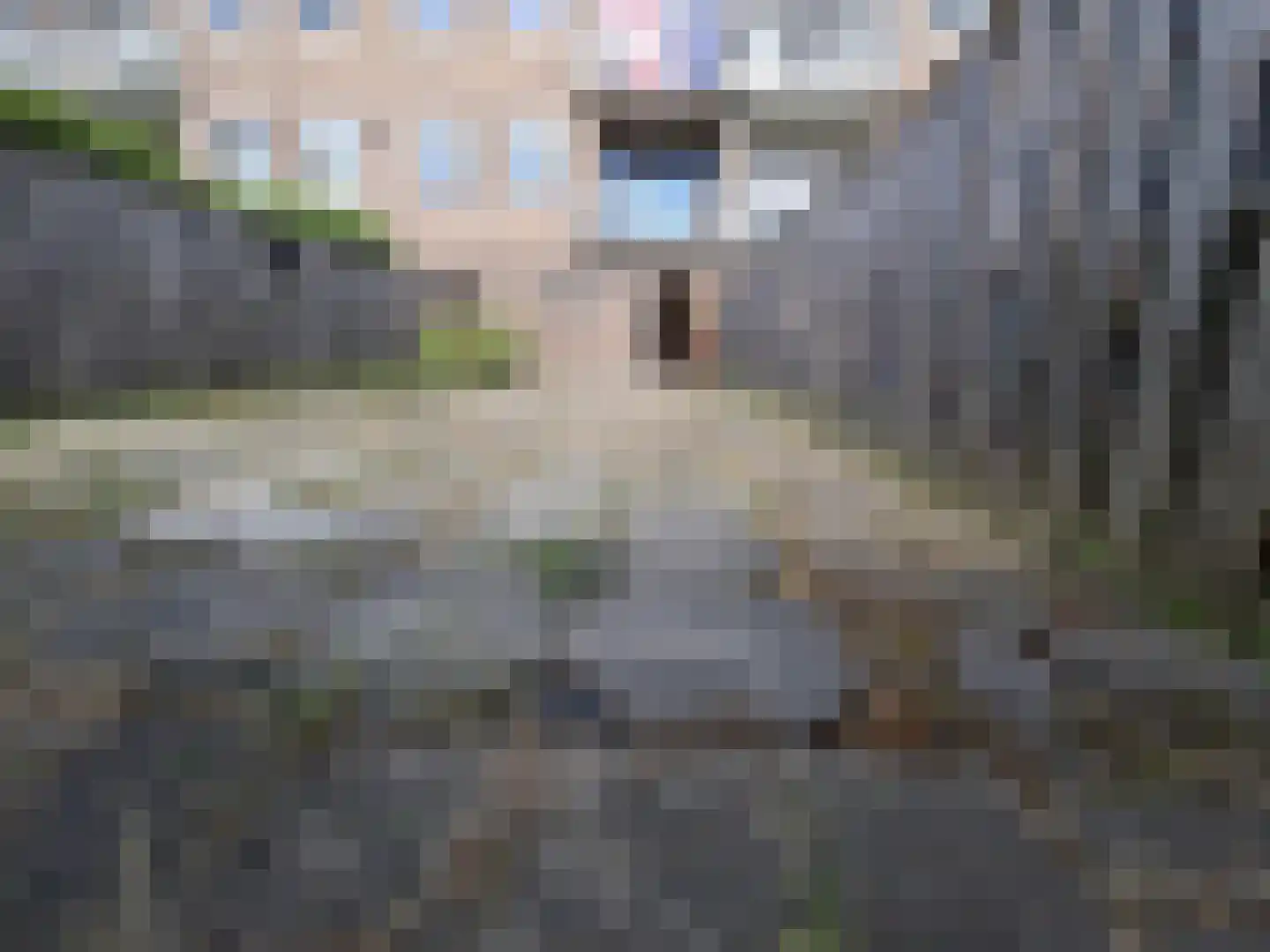 Groene Hilledijk 436 A Rotterdam thumbnail 20