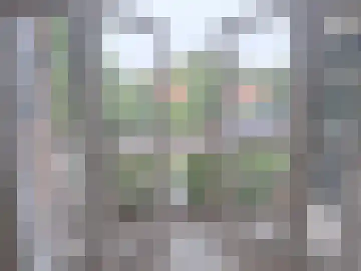 Groene Hilledijk 466 C Rotterdam thumbnail 6
