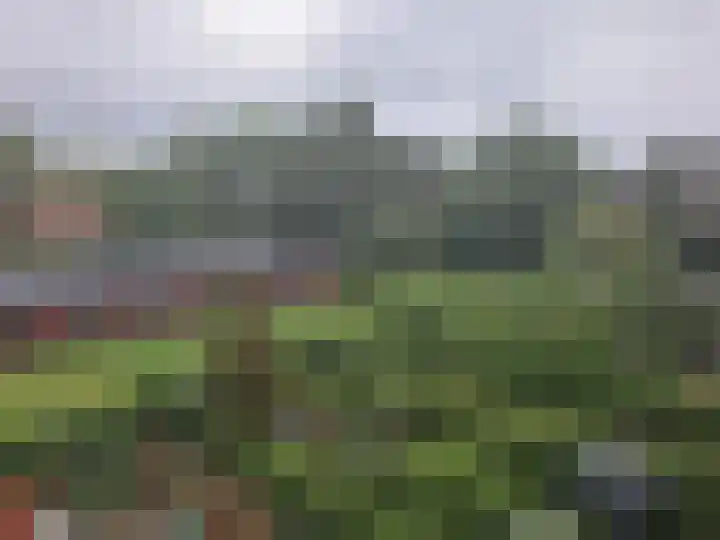 Groene Hilledijk 466 C Rotterdam thumbnail 8
