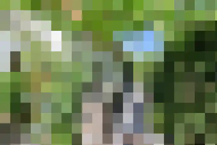 Groene Hilledijk 466 C Rotterdam thumbnail 9