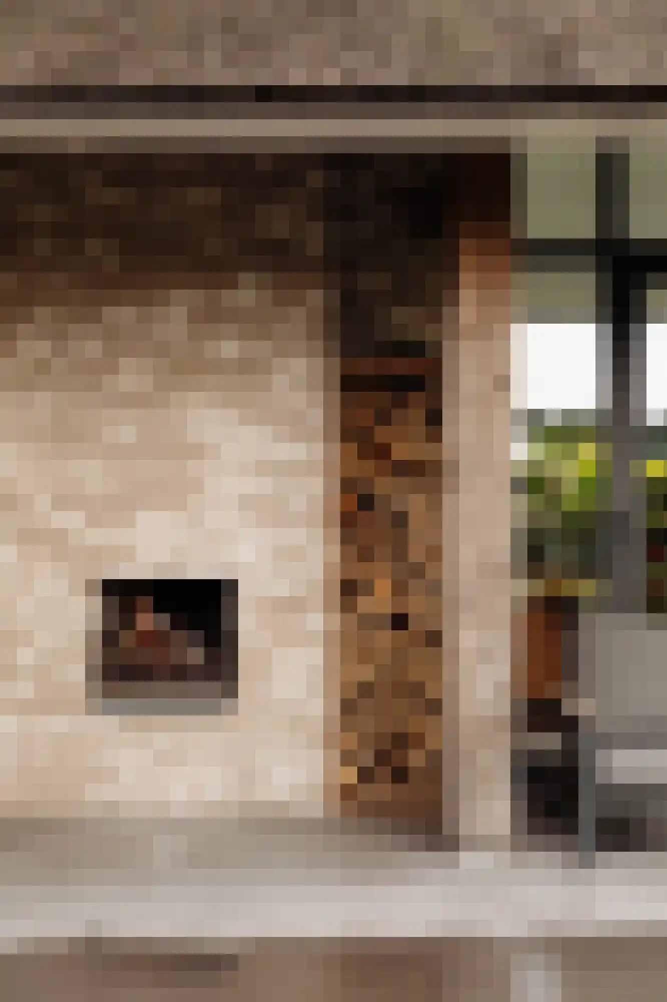 Groene Hof 1 Bergen (NH) thumbnail 28