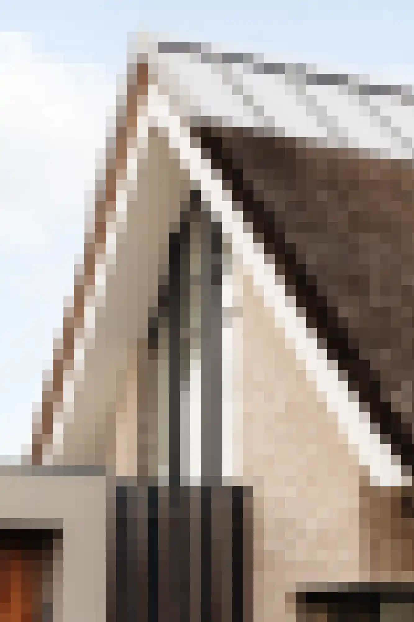 Groene Hof 1 Bergen (NH) thumbnail 29