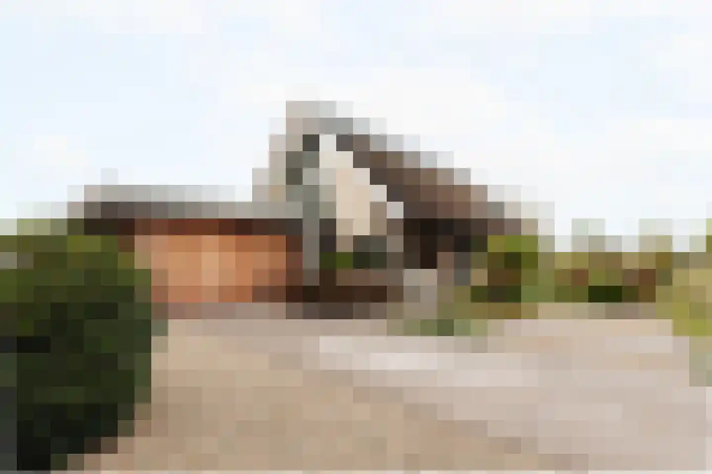 Groene Hof 1 Bergen (NH) thumbnail 30