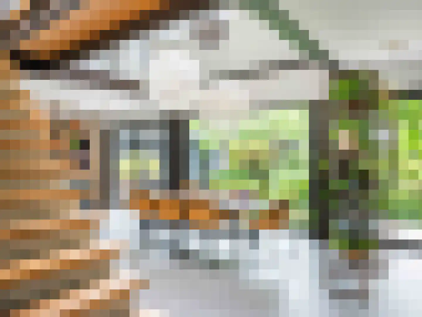 Groene Hof 3 Bergen (NH) thumbnail 10