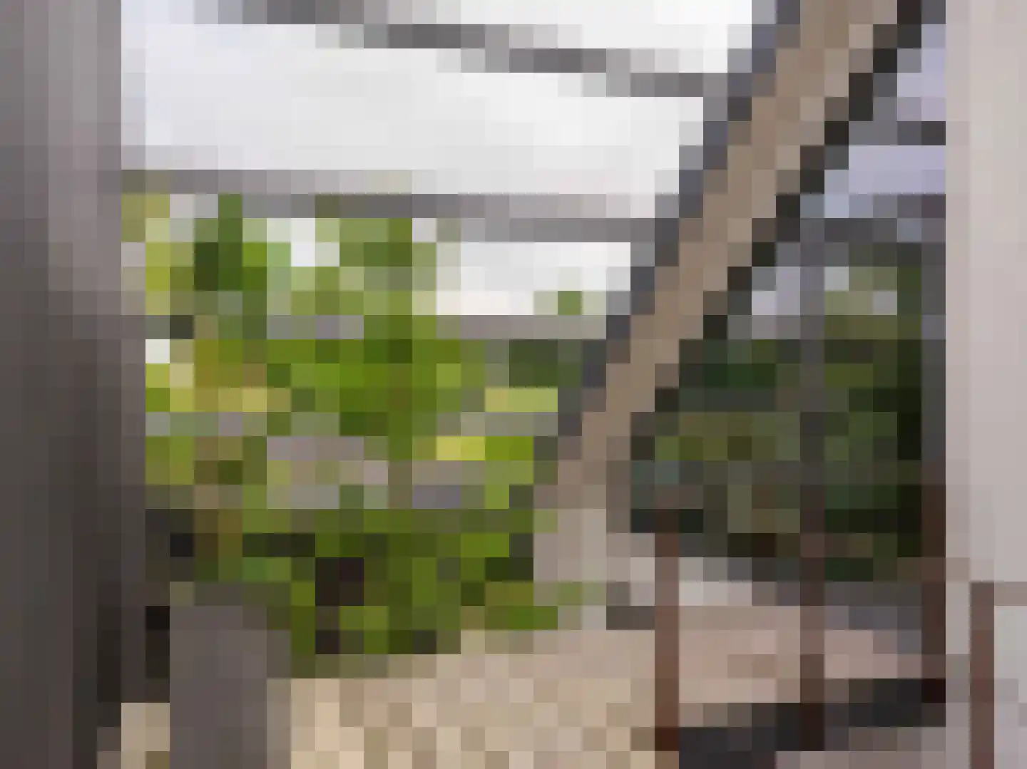 Groene Hof 3 Bergen (NH) thumbnail 22