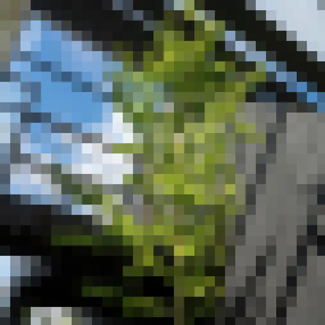 Groene Hof 3 Bergen (NH) thumbnail 24