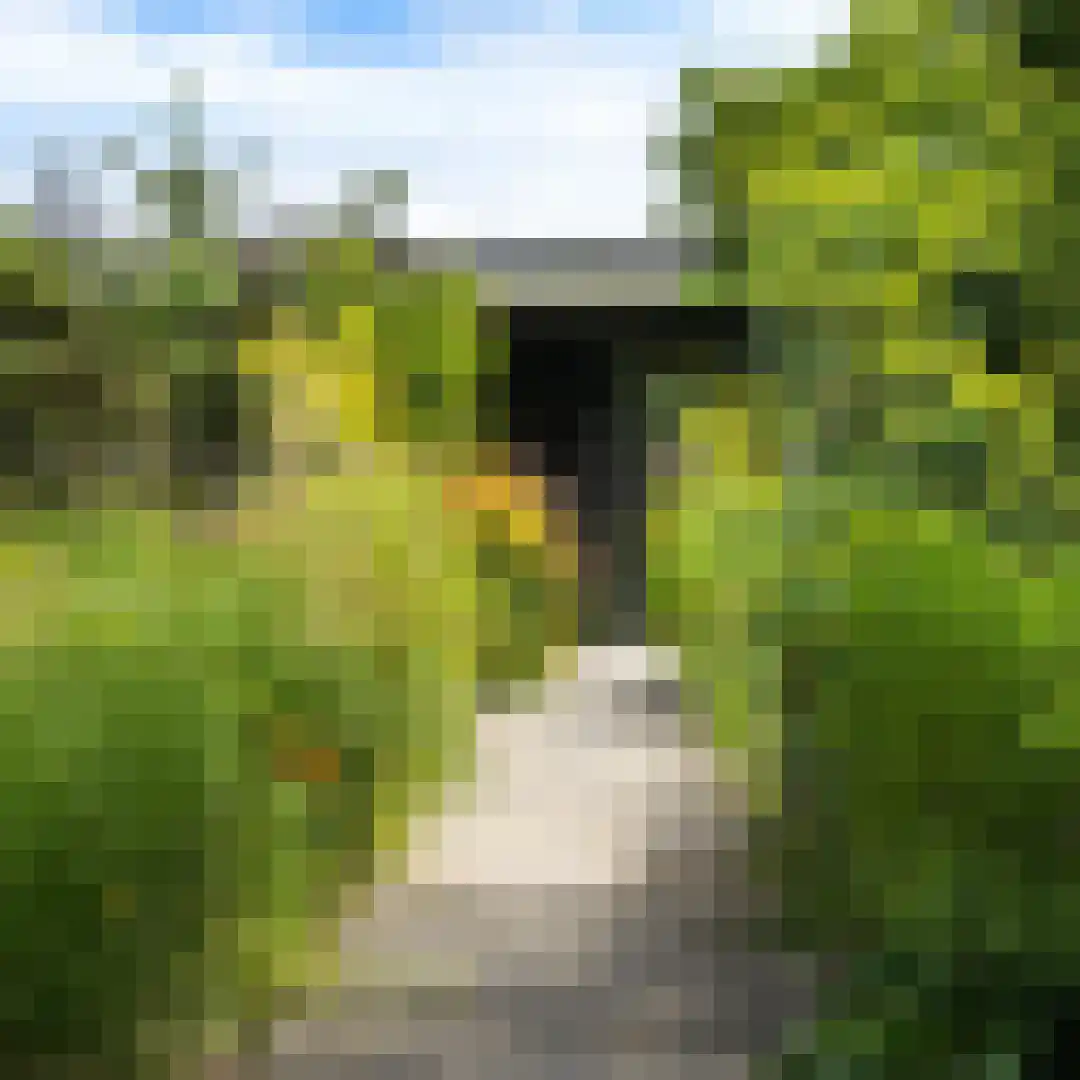 Groene Hof 3 Bergen (NH) thumbnail 25