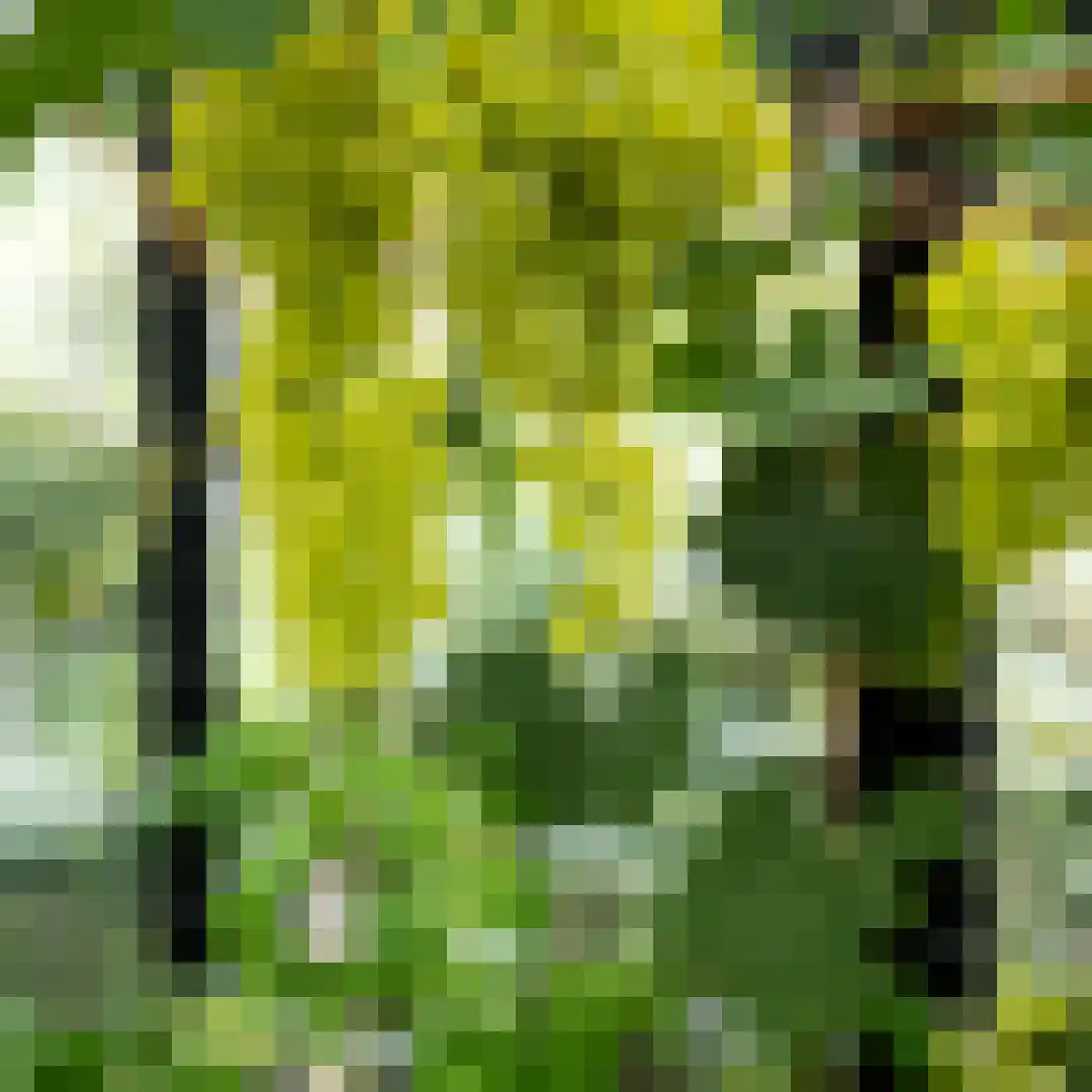 Groene Hof 3 Bergen (NH) thumbnail 26