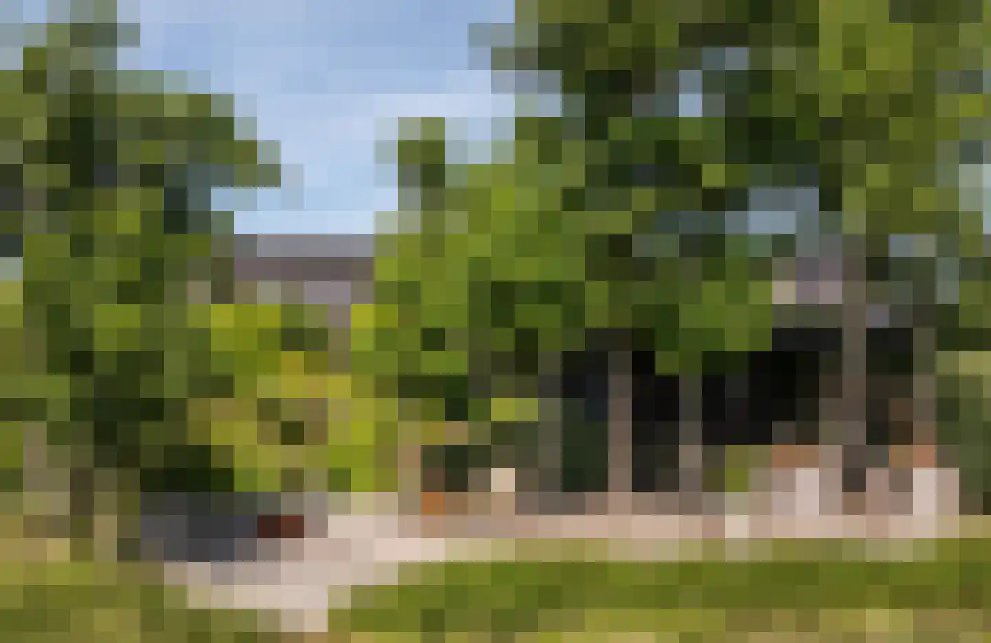 Groene Hof 3 Bergen (NH) thumbnail 27