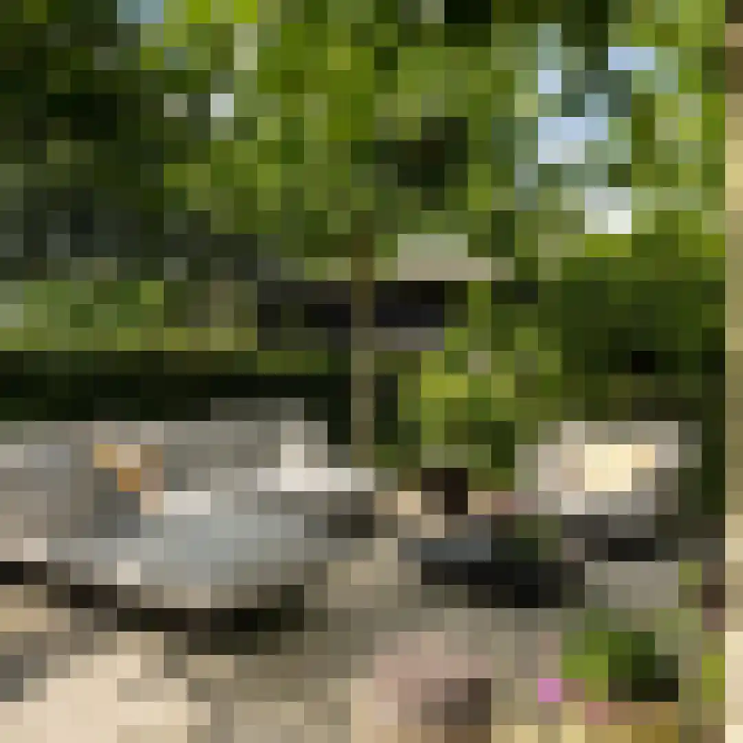 Groene Hof 3 Bergen (NH) thumbnail 28