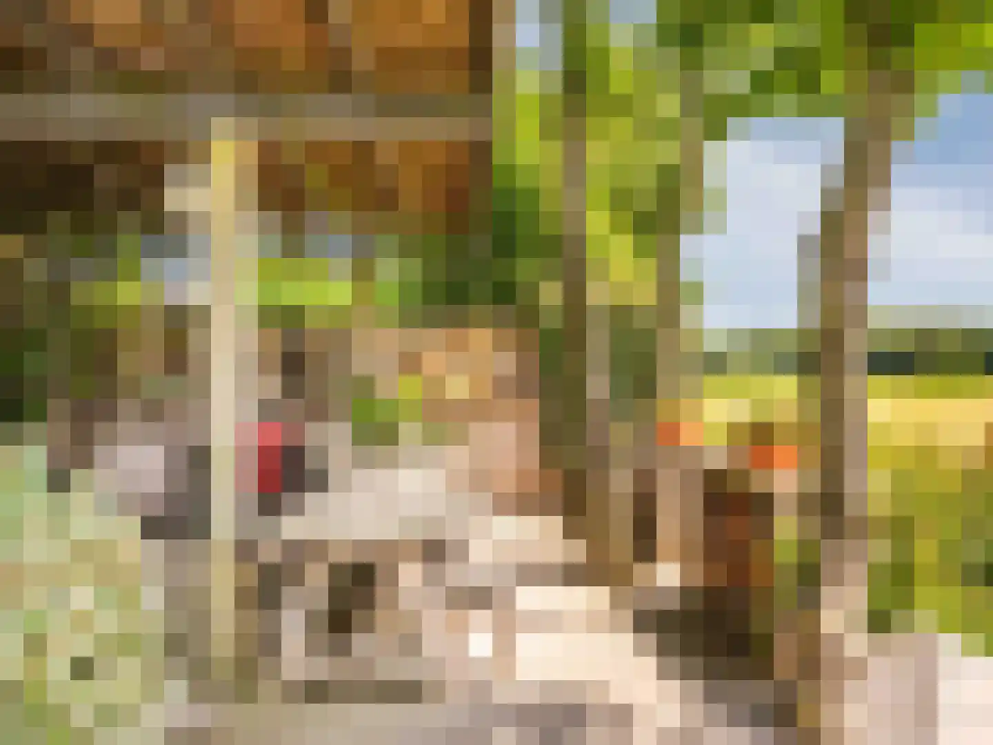 Groene Hof 3 Bergen (NH) thumbnail 31