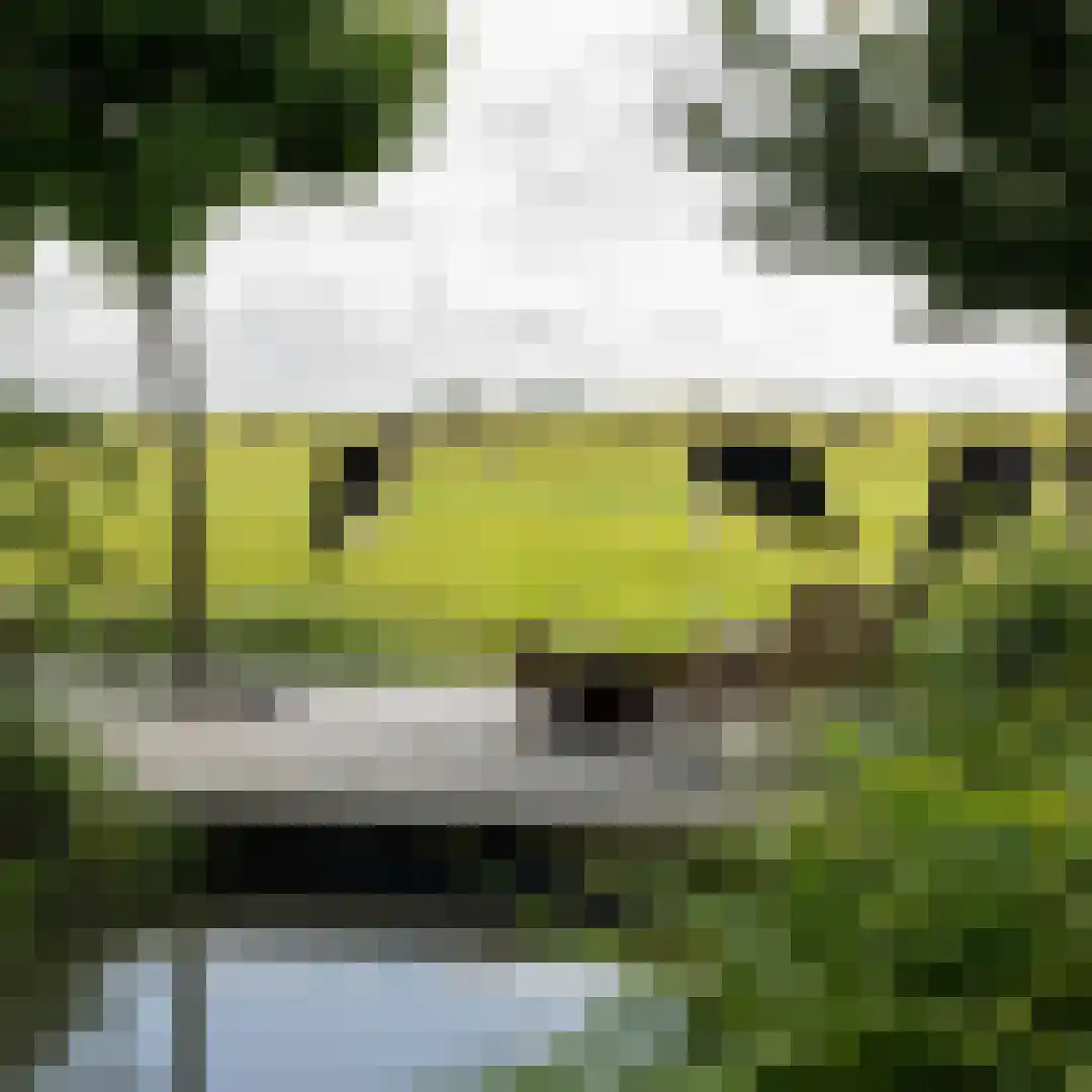 Groene Hof 3 Bergen (NH) thumbnail 32