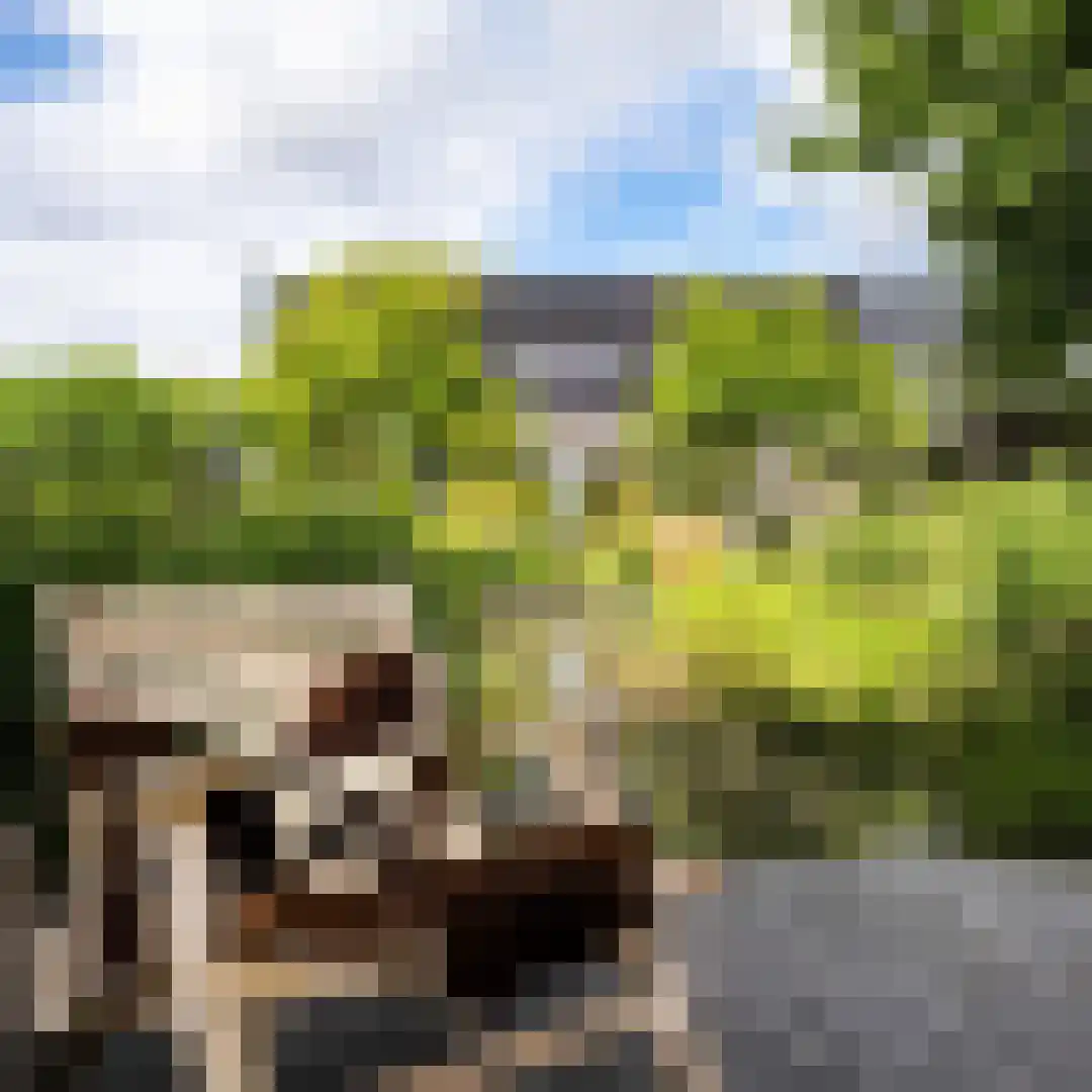 Groene Hof 3 Bergen (NH) thumbnail 33