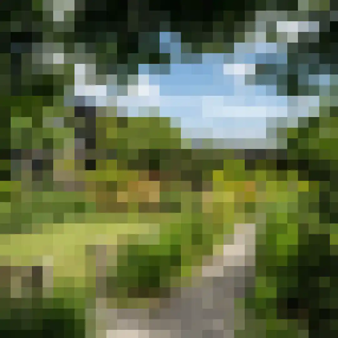 Groene Hof 3 Bergen (NH) thumbnail 35