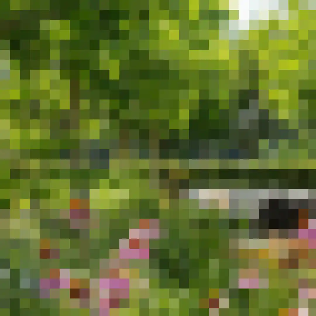 Groene Hof 3 Bergen (NH) thumbnail 36