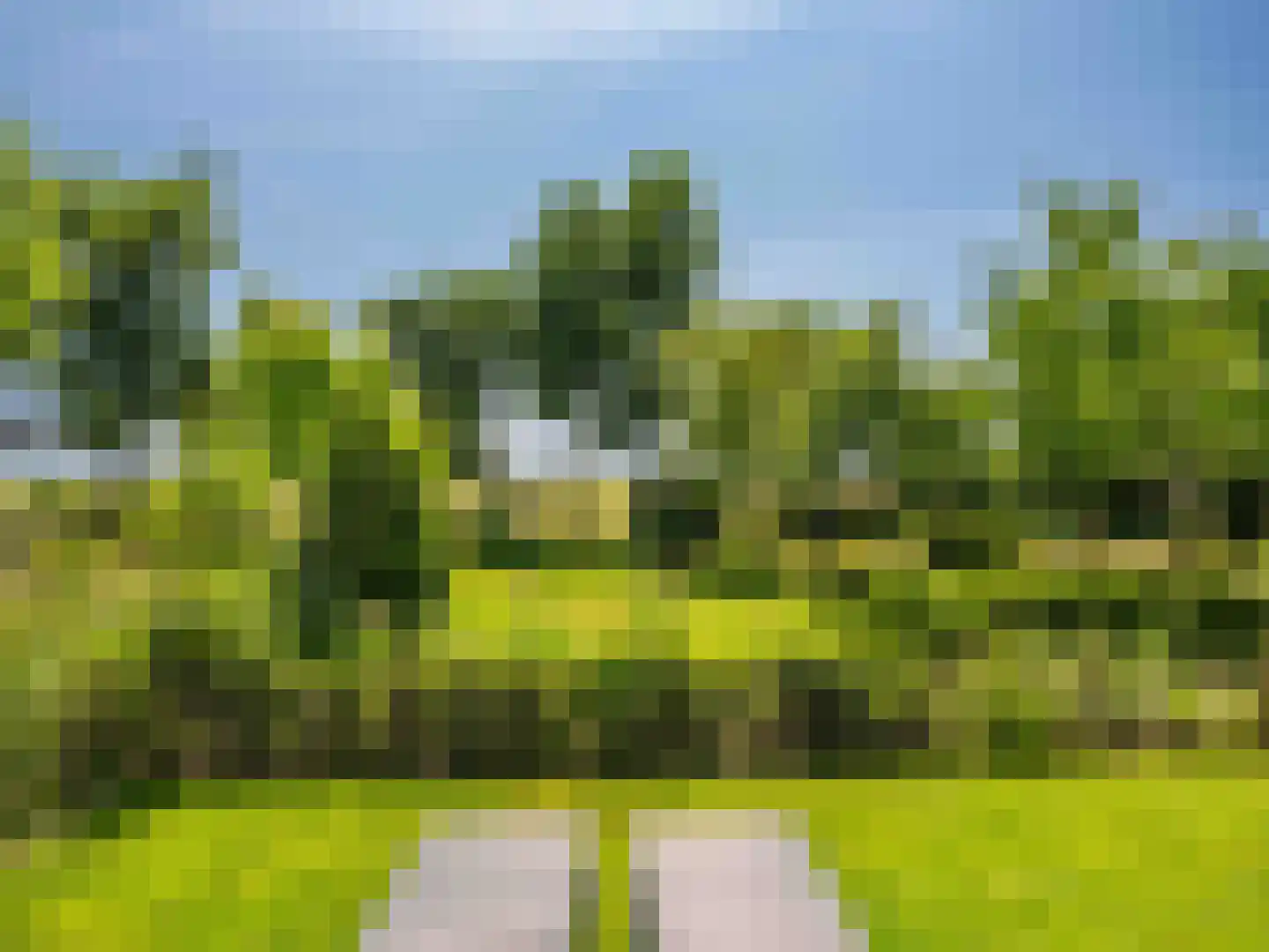 Groene Hof 3 Bergen (NH) thumbnail 37