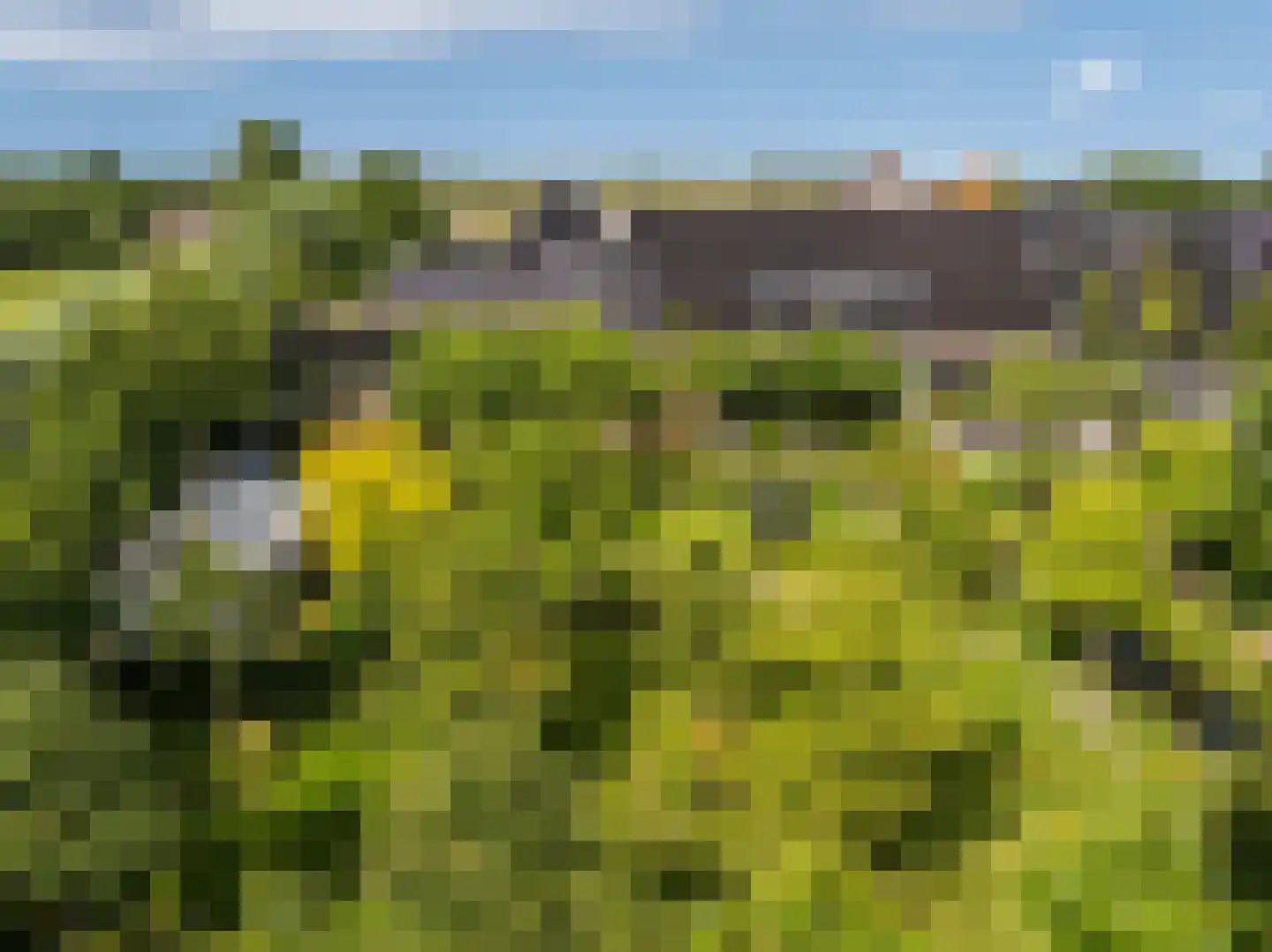 Groene Hof 3 Bergen (NH) thumbnail 38