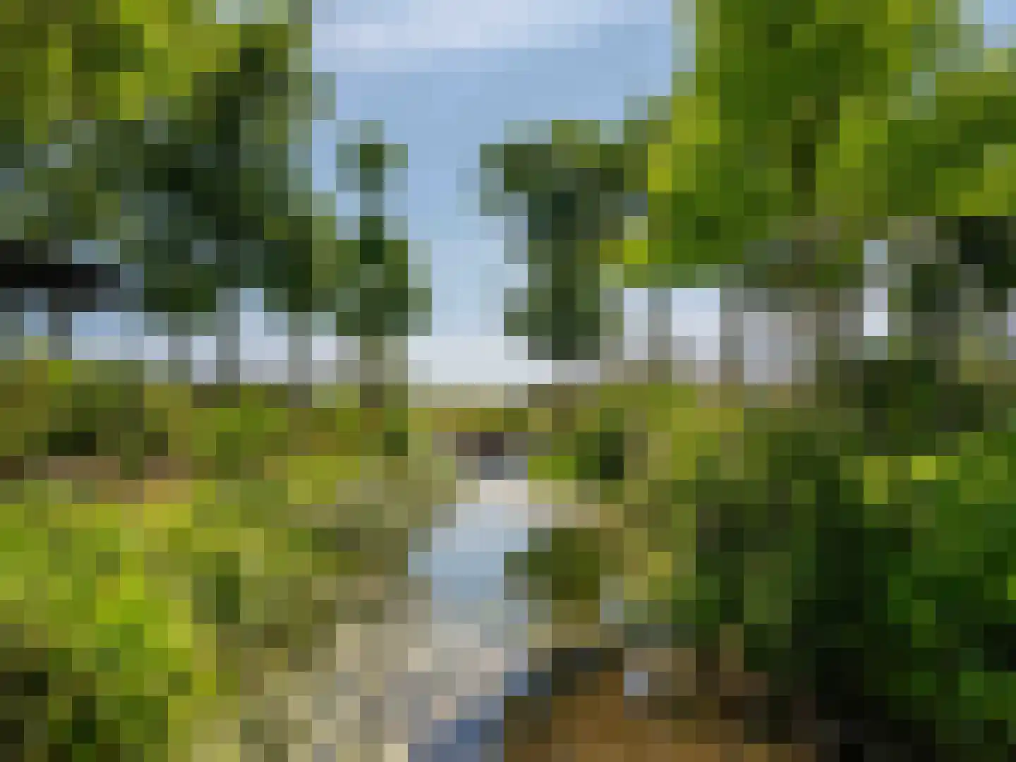 Groene Hof 3 Bergen (NH) thumbnail 39