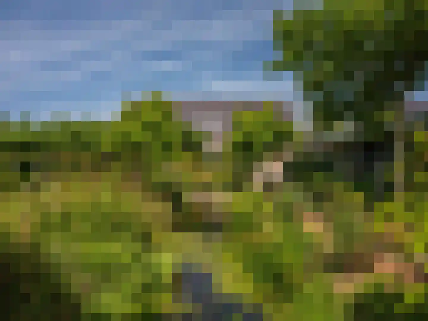 Groene Hof 3 Bergen (NH) thumbnail 42