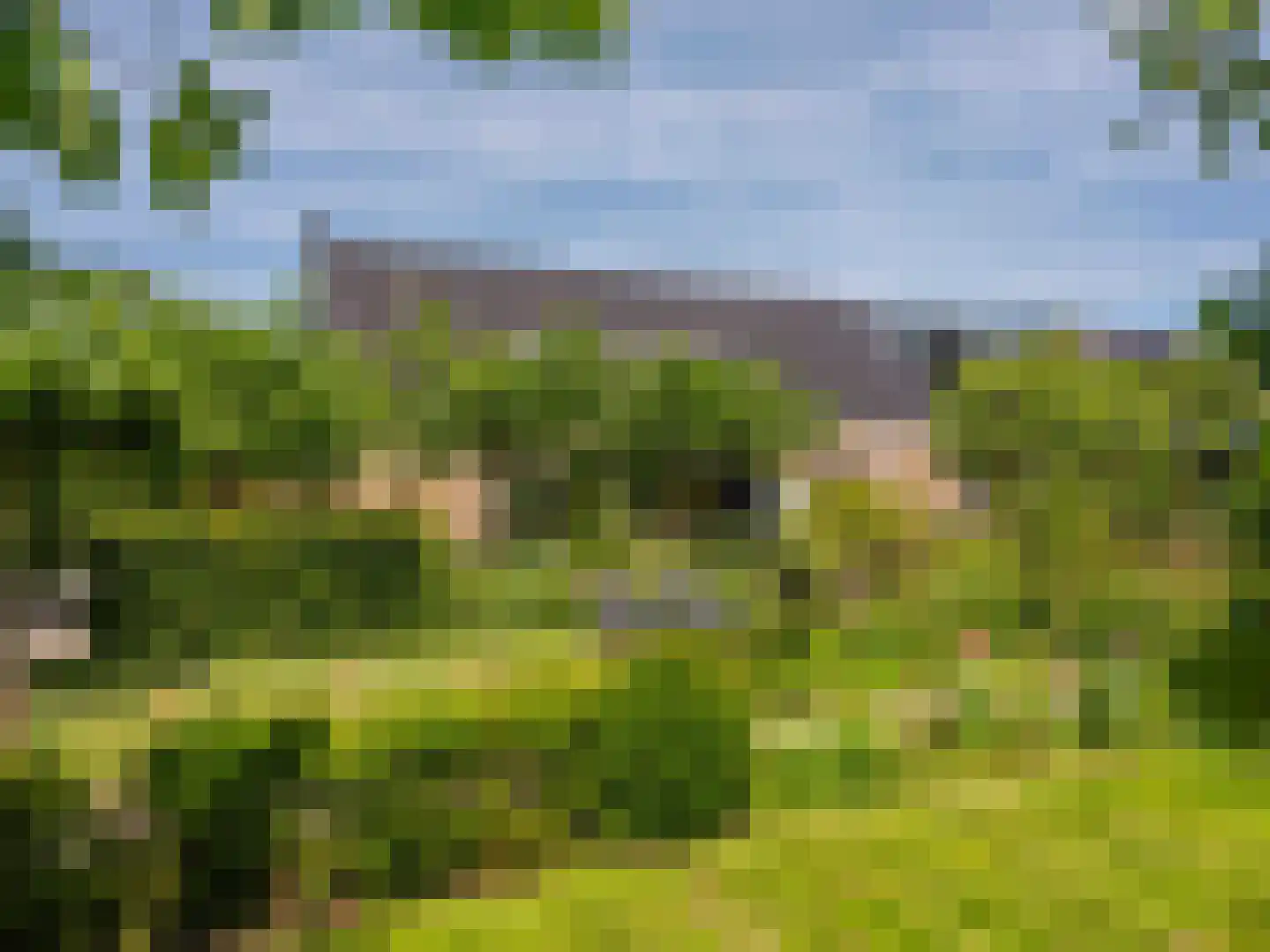 Groene Hof 3 Bergen (NH) thumbnail 44