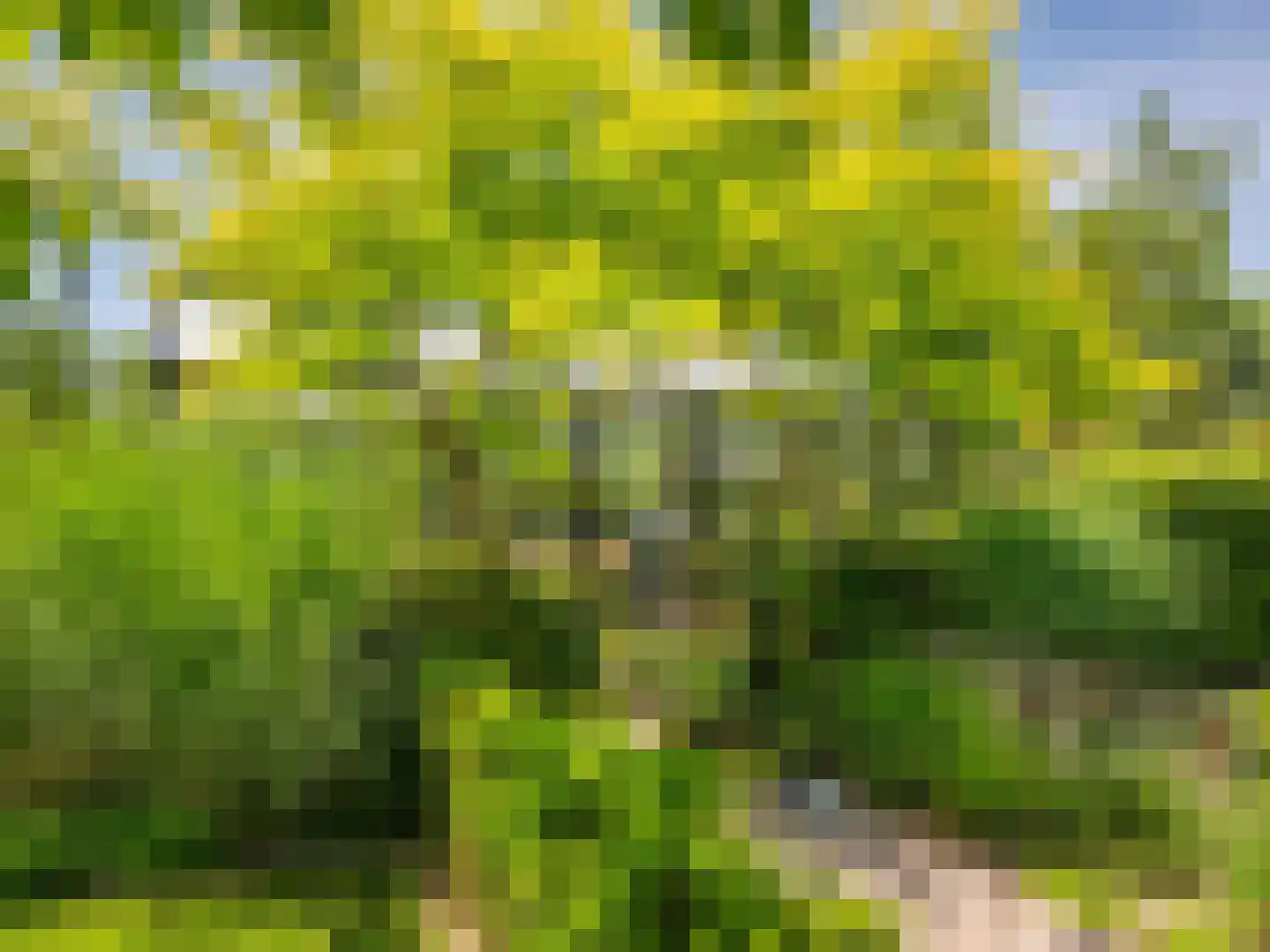 Groene Hof 3 Bergen (NH) thumbnail 46