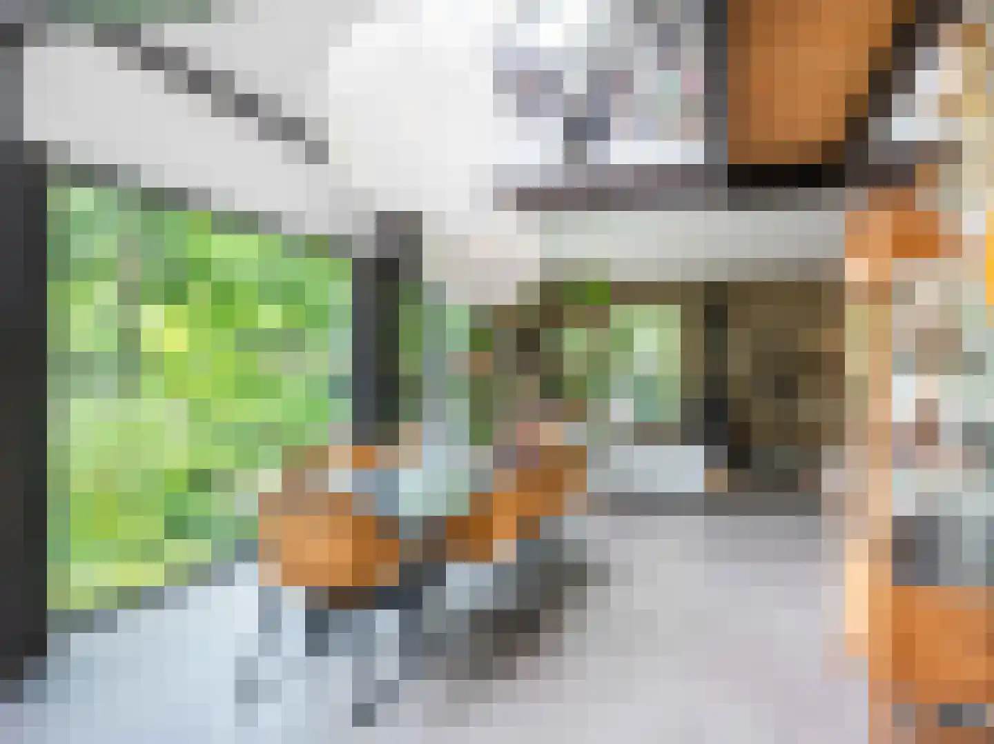 Groene Hof 3 Bergen (NH) thumbnail 8