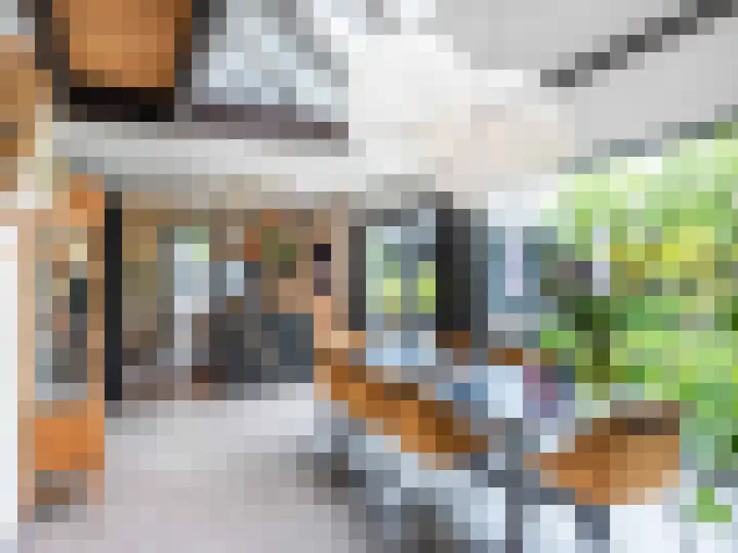 Groene Hof 3 Bergen (NH) thumbnail 9