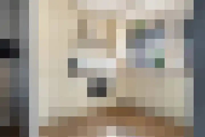 Groene Jonkerstraat 26 Zevenhoven thumbnail 12
