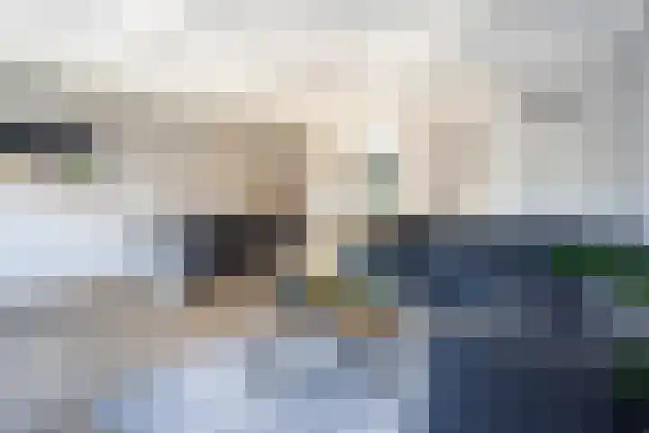 Groene Jonkerstraat 26 Zevenhoven thumbnail 4