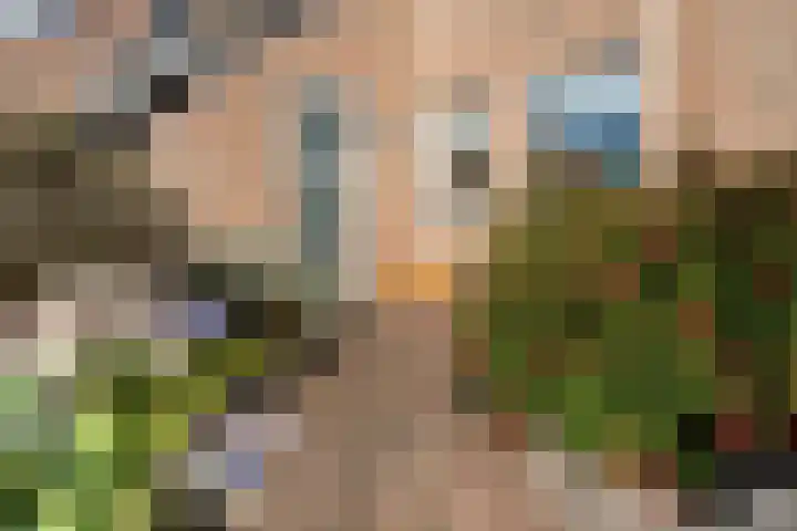 Groene Jonkerstraat 26 Zevenhoven thumbnail 45