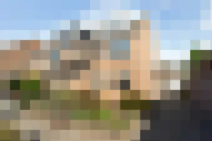 Groene Jonkerstraat 26 Zevenhoven thumbnail 47