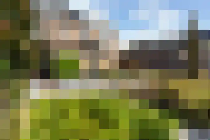 Groene Jonkerstraat 26 Zevenhoven thumbnail 48