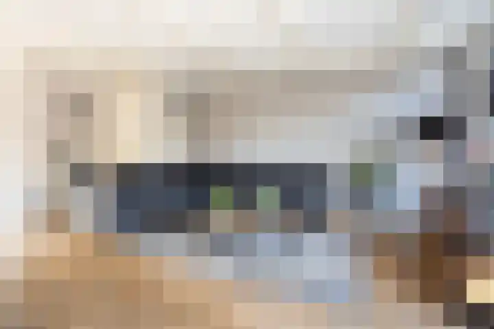 Groene Jonkerstraat 26 Zevenhoven thumbnail 5