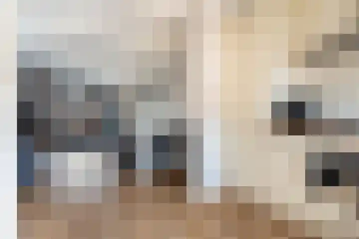 Groene Jonkerstraat 26 Zevenhoven thumbnail 9