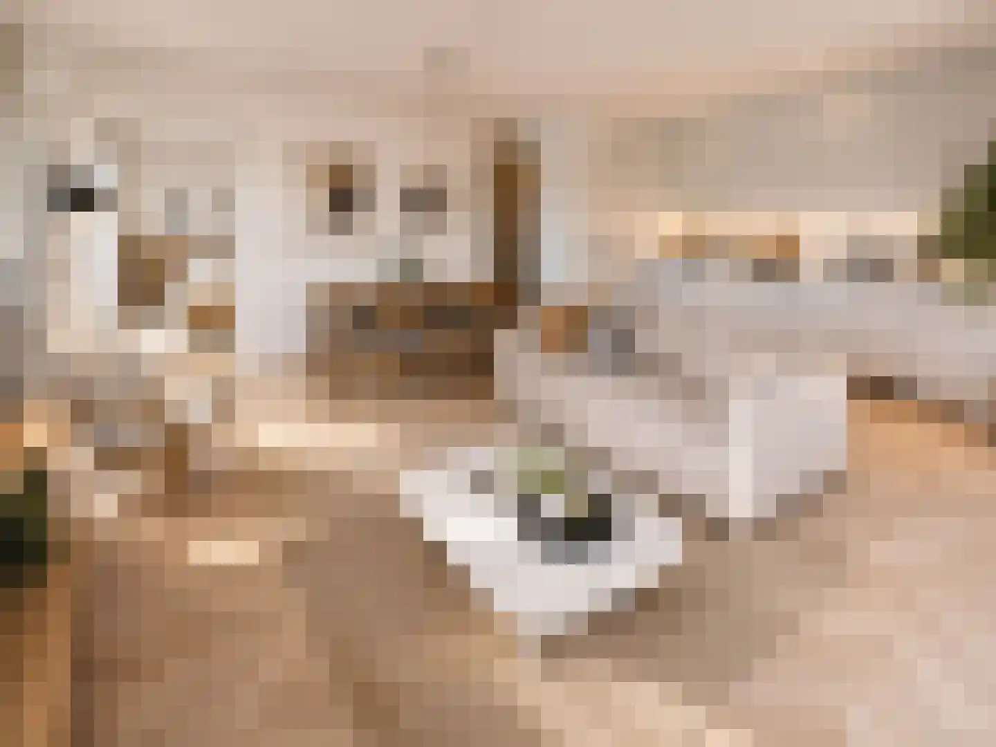Groene Kamer 18 Aalten thumbnail 4