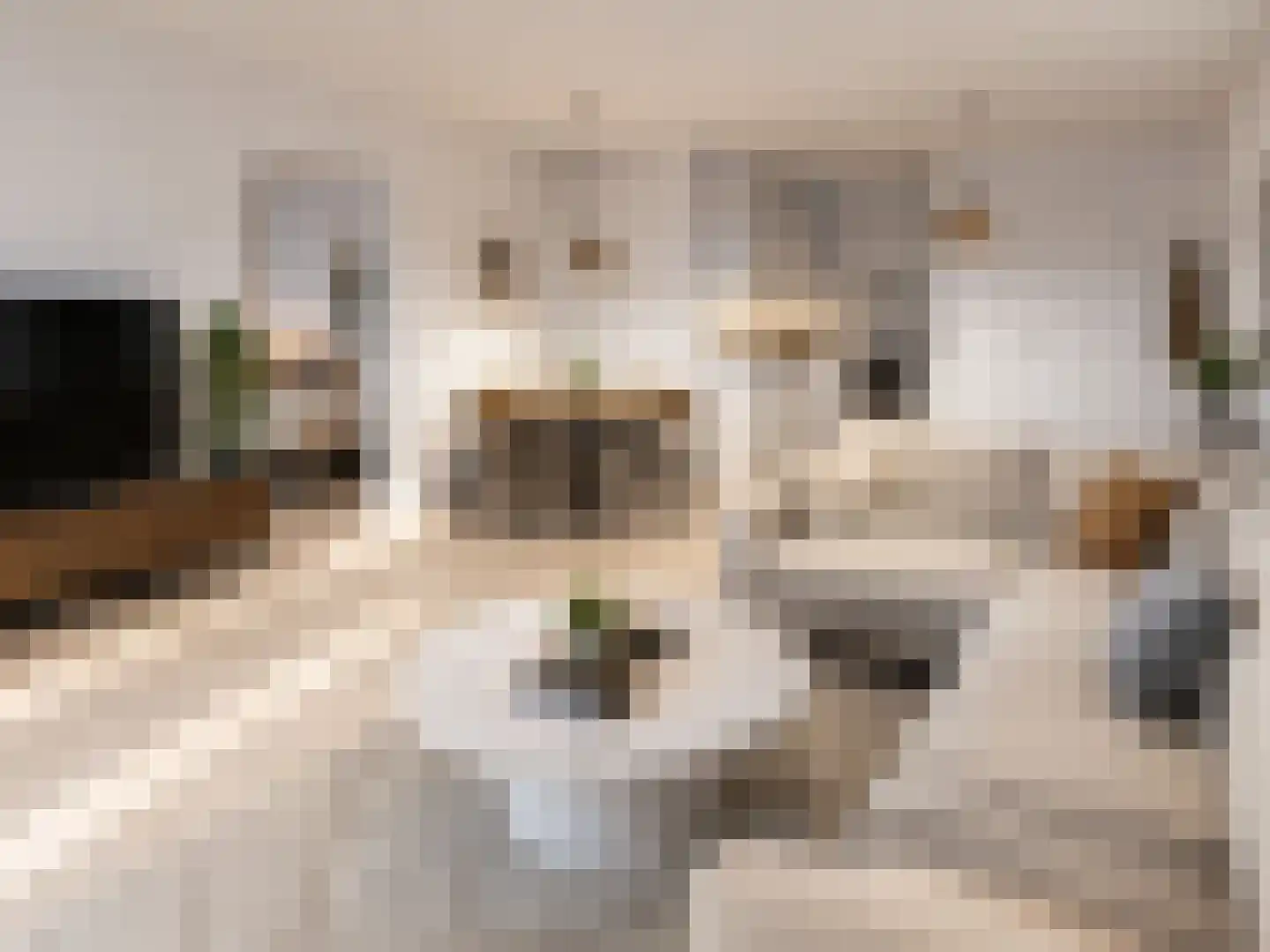 Groene Kamer 18 Aalten thumbnail 5