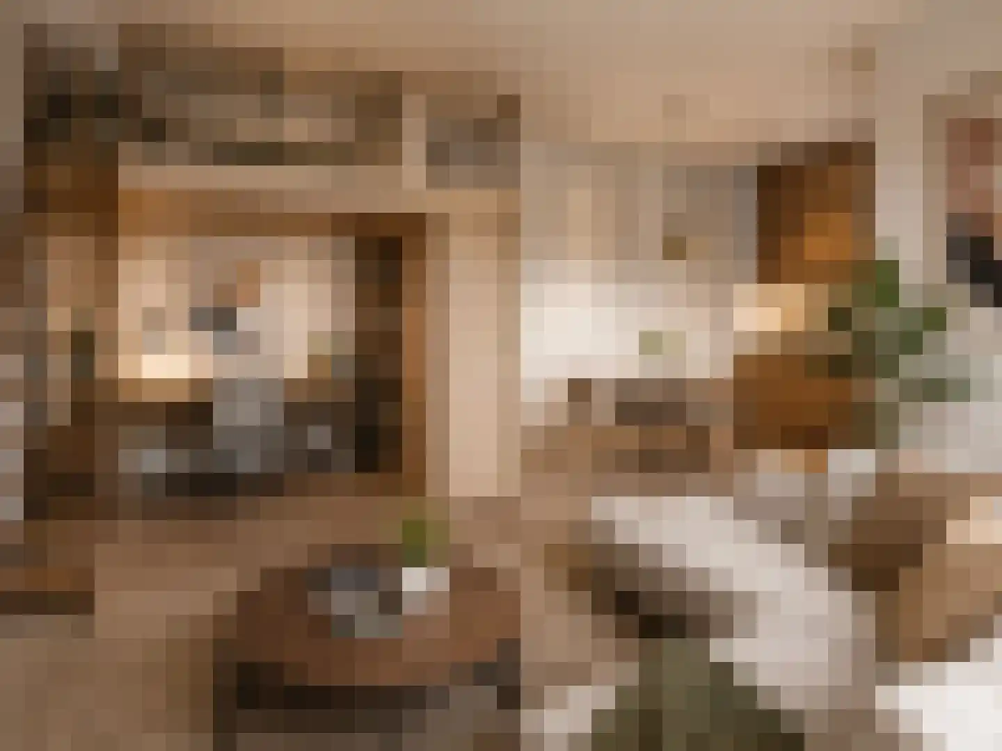 Groene Kamer 18 Aalten thumbnail 7