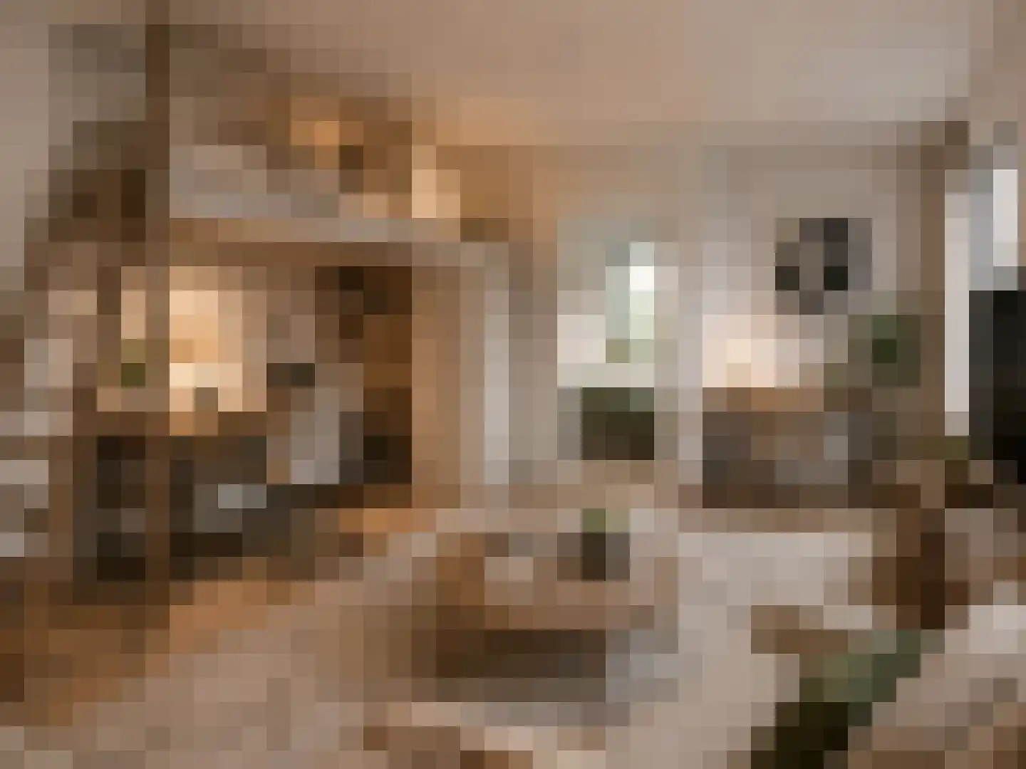 Groene Kamer 18 Aalten thumbnail 8