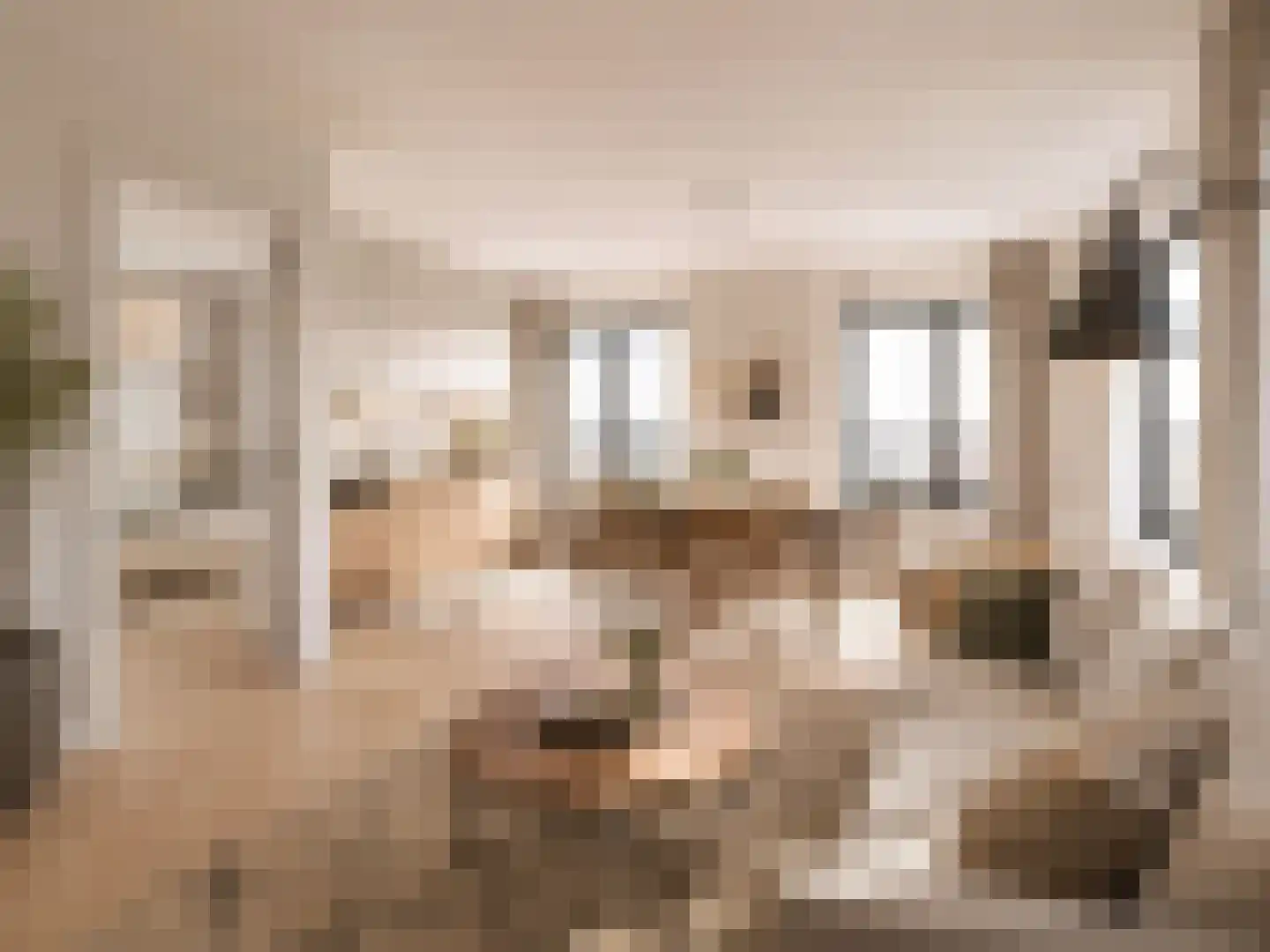 Groene Kamer 24 Aalten thumbnail 6
